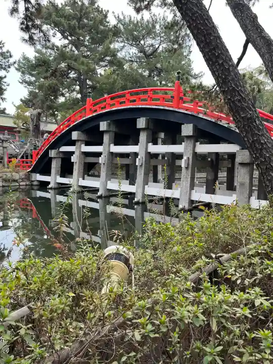 住吉大社の{uncategorized: "未分類", other: "その他", undefined: "問題あり", building: "その他建物", grave: "お墓", sacred_gate: "鳥居", guardian: "狛犬", statue: "像", buddha: "仏像", history: "歴史", nature: "自然", garden: "庭園", animal: "動物", pagoda: "塔", temizu: "手水舎", mountain_gate: "山門・神門", sanctuary: "本殿・本堂", subordinate: "末社・摂社", art: "芸術", scenery: "景色", jizo: "地蔵", ema: "絵馬", goshuin: "御朱印", omikuji: "おみくじ", items: "授与品その他", amulet: "お守り", goshuincho: "御朱印帳", eats: "食事", festival: "お祭り", votive_dance: "神楽", shichigosan: "七五三参", wedding: "結婚式", experience: "体験その他", initially: "初詣", around: "周辺", anti_infection: "感染症対策"}