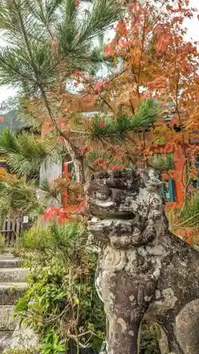 鍬山神社(京都府)