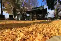 熊野福藏神社の本殿・本堂