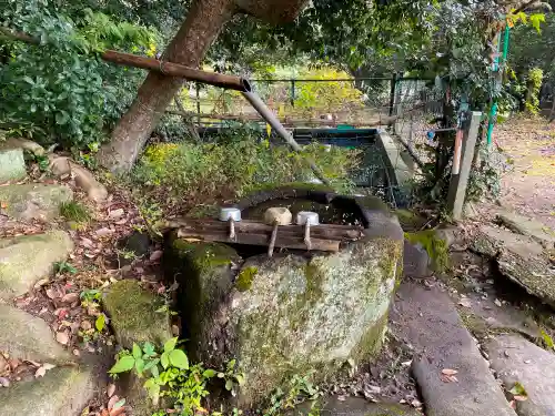 清滝寺の手水舎