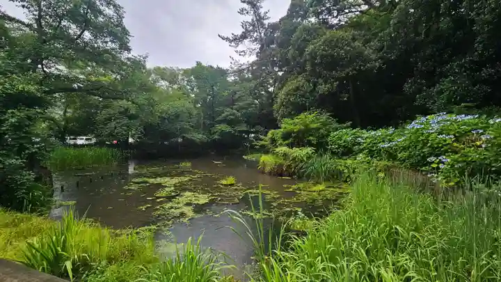 出雲大社(島根県)
