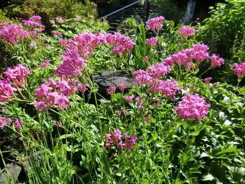 子安地蔵寺(和歌山県)