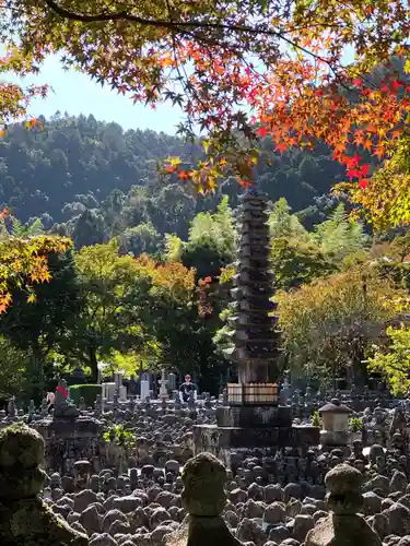 化野念仏寺の塔