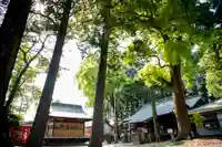 西堀氷川神社(埼玉県)