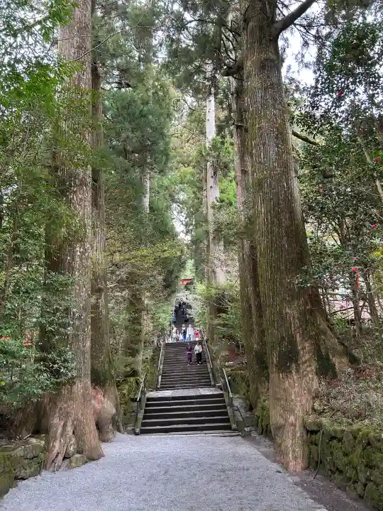 箱根神社(神奈川県)