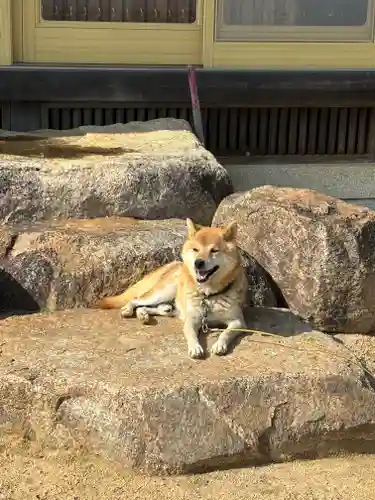 潮音寺(兵庫県)