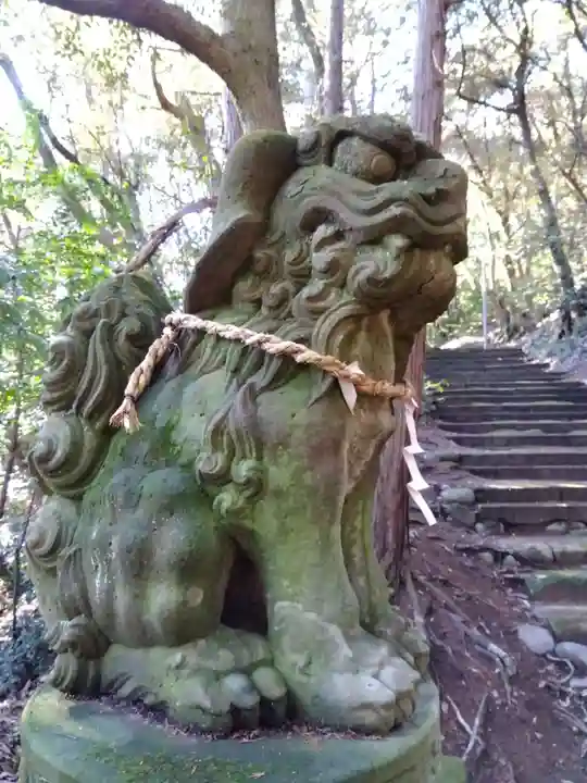 八雲神社(福井県)