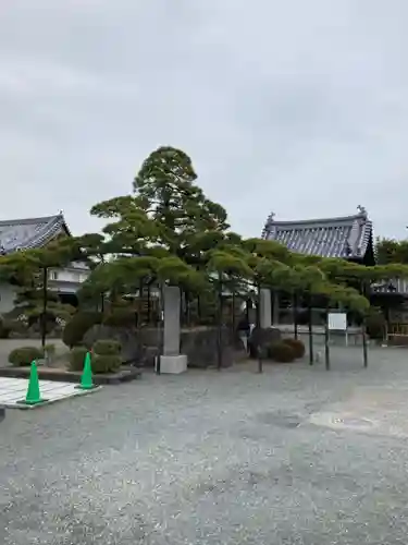 花岳寺の自然