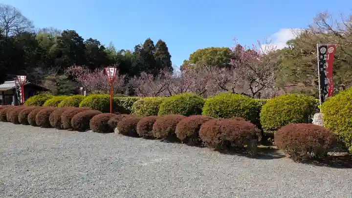 隨心院(随心院)(京都府)