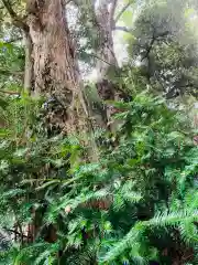 皇産霊神社(茨城県)