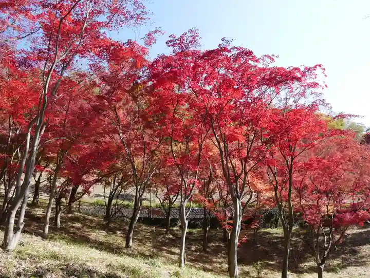 足利織姫神社の景色