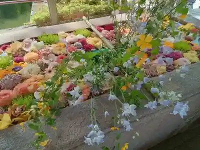 住吉大社(大阪府)