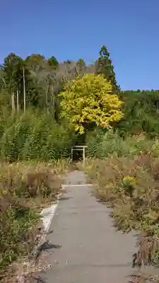 五十鈴神社の鳥居