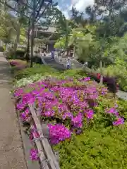 長谷寺の建物その他