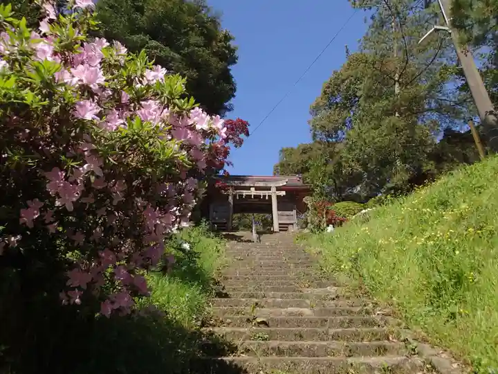 忌部神社のその他建物