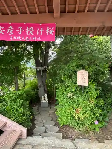 差出磯大嶽山神社 仕事と健康と厄よけの神さま(山梨県)