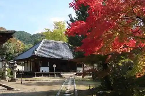 法界寺(日野薬師)(京都府)