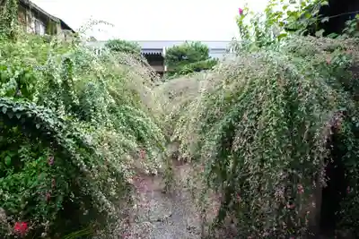 勝念寺（かましきさん）(京都府)