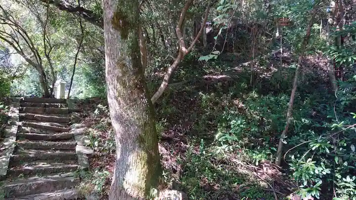 西宮神社の自然