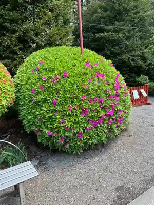 芳賀天満宮(栃木県)
