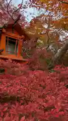 鍬山神社(京都府)