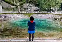 嚴島神社の自然
