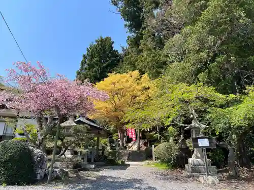 鹿島大神宮の御朱印