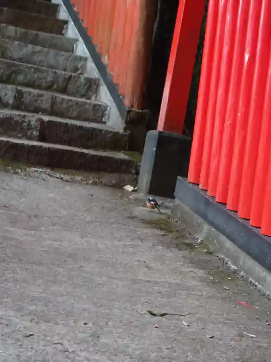 太皷谷稲成神社(島根県)