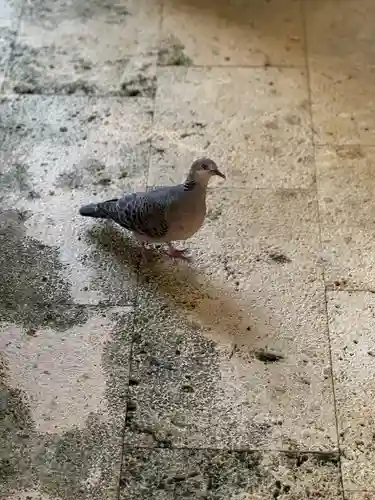 識名宮(沖縄県)