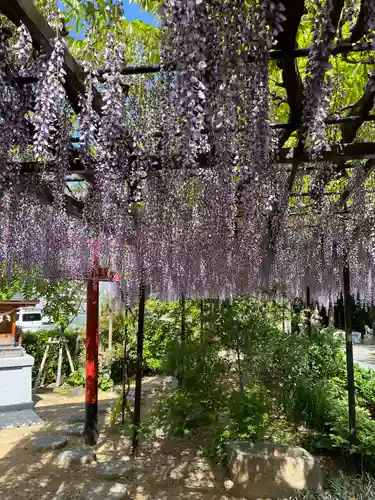 奈加美神社の庭園