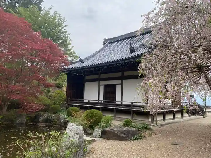 善峯寺(京都府)