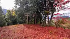 金比羅神社(京都府)