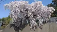 赤城神社(群馬県)