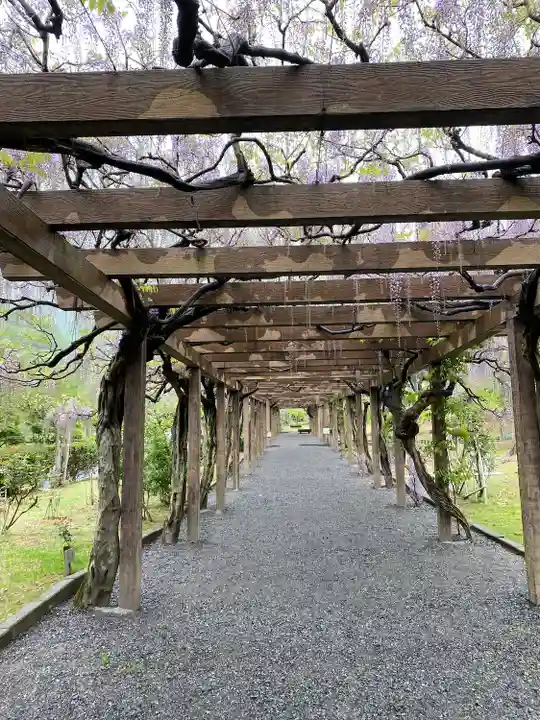 大山祇神社(愛媛県)