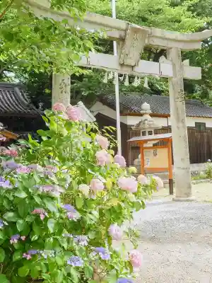 新宮八幡神社(兵庫県)