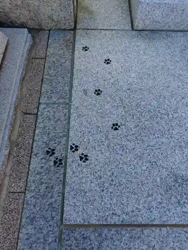 駒込妙義神社の{uncategorized: "未分類", other: "その他", undefined: "問題あり", building: "その他建物", grave: "お墓", sacred_gate: "鳥居", guardian: "狛犬", statue: "像", buddha: "仏像", history: "歴史", nature: "自然", garden: "庭園", animal: "動物", pagoda: "塔", temizu: "手水舎", mountain_gate: "山門・神門", sanctuary: "本殿・本堂", subordinate: "末社・摂社", art: "芸術", scenery: "景色", jizo: "地蔵", ema: "絵馬", goshuin: "御朱印", omikuji: "おみくじ", items: "授与品その他", amulet: "お守り", goshuincho: "御朱印帳", eats: "食事", festival: "お祭り", votive_dance: "神楽", shichigosan: "七五三参", wedding: "結婚式", experience: "体験その他", initially: "初詣", around: "周辺", anti_infection: "感染症対策"}