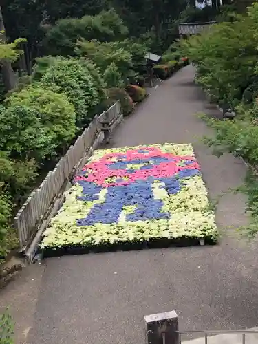 三室戸寺(京都府)