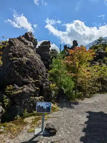 寛永寺別院浅間山観音堂の自然