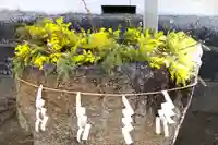 三津厳島神社の手水舎