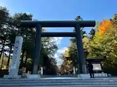 北海道神宮の鳥居