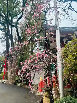 居木神社(東京都)