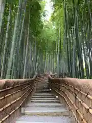 化野念仏寺の景色