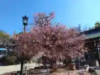 岡崎天満宮(愛知県)