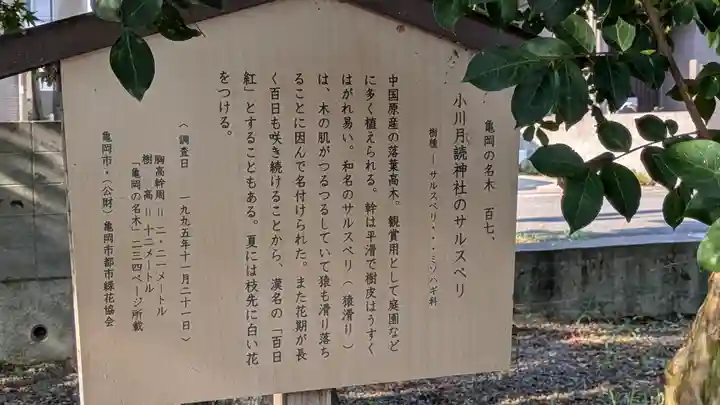 月讀神社(京都府)