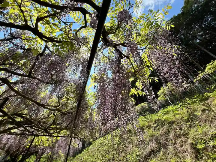 天台宗 五大山 白毫寺(兵庫県)