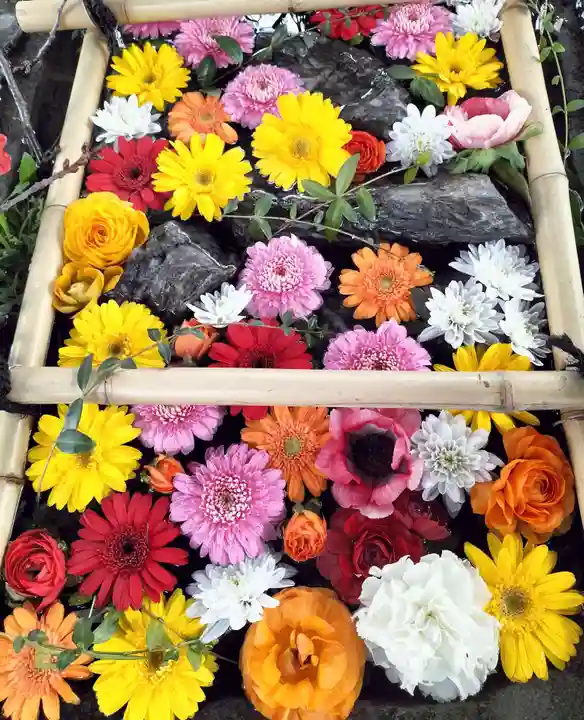 札幌護國神社の手水舎