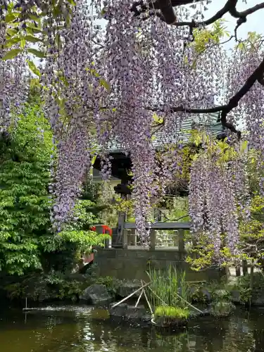 西新井大師総持寺(東京都)