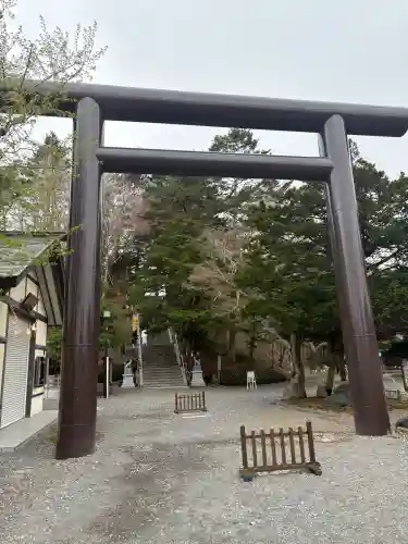 千歳神社の{uncategorized: "未分類", other: "その他", undefined: "問題あり", building: "その他建物", grave: "お墓", sacred_gate: "鳥居", guardian: "狛犬", statue: "像", buddha: "仏像", history: "歴史", nature: "自然", garden: "庭園", animal: "動物", pagoda: "塔", temizu: "手水舎", mountain_gate: "山門・神門", sanctuary: "本殿・本堂", subordinate: "末社・摂社", art: "芸術", scenery: "景色", jizo: "地蔵", ema: "絵馬", goshuin: "御朱印", omikuji: "おみくじ", items: "授与品その他", amulet: "お守り", goshuincho: "御朱印帳", eats: "食事", festival: "お祭り", votive_dance: "神楽", shichigosan: "七五三参", wedding: "結婚式", experience: "体験その他", initially: "初詣", around: "周辺", anti_infection: "感染症対策"}