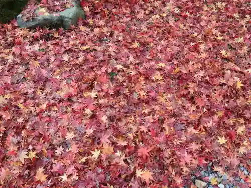 今熊野観音寺(京都府)
