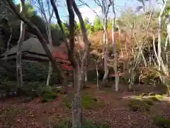 祇王寺(京都府)